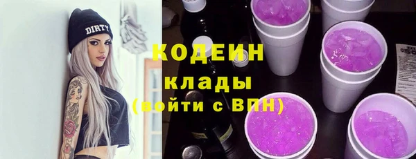 хмурый Инта