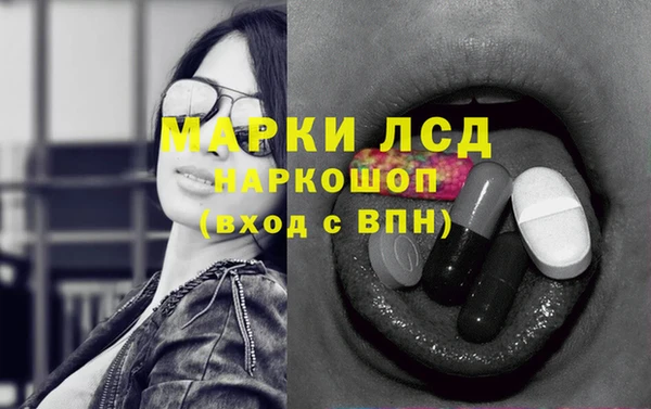 хмурый Инта