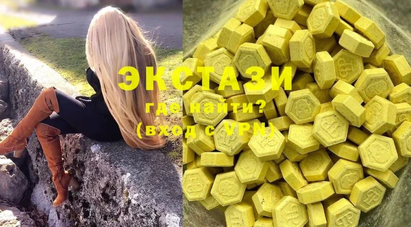 хмурый Инта