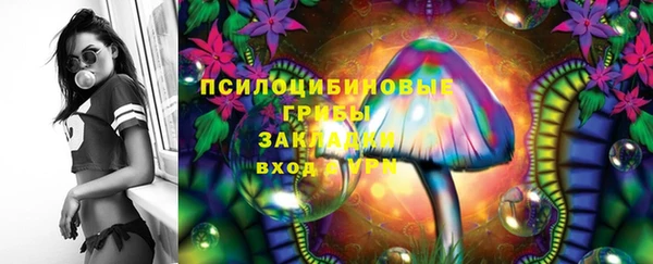 хмурый Инта