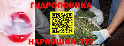 ПСИЛОЦИБИНОВЫЕ ГРИБЫ Дмитров